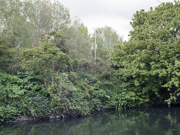 Green. Along the Hackney Canal