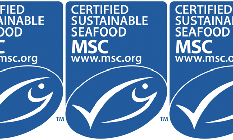 marine stewardship logo