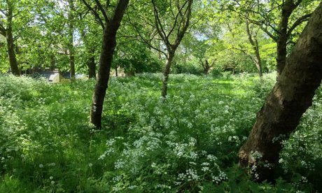 Anger at fly-tipped waste on Mabley Green – Hackney Citizen