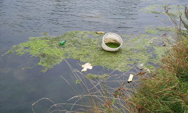 Town Hall ‘demands action’ from Environment Agency to clean up River ...