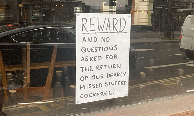 ‘We would forgive and forget’: Hackney pub appeals for return of ...