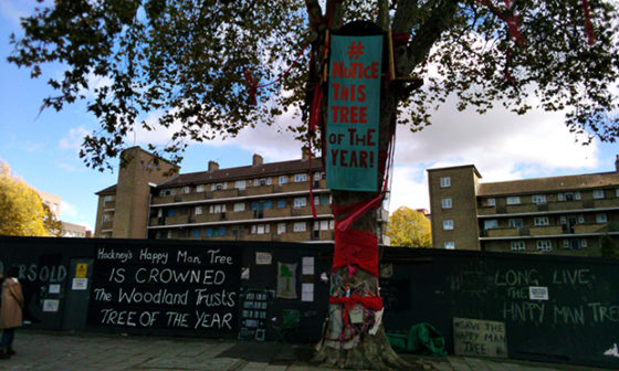 Woodberry Down’s famous Happy Man Tree crowned Tree of the Year ...